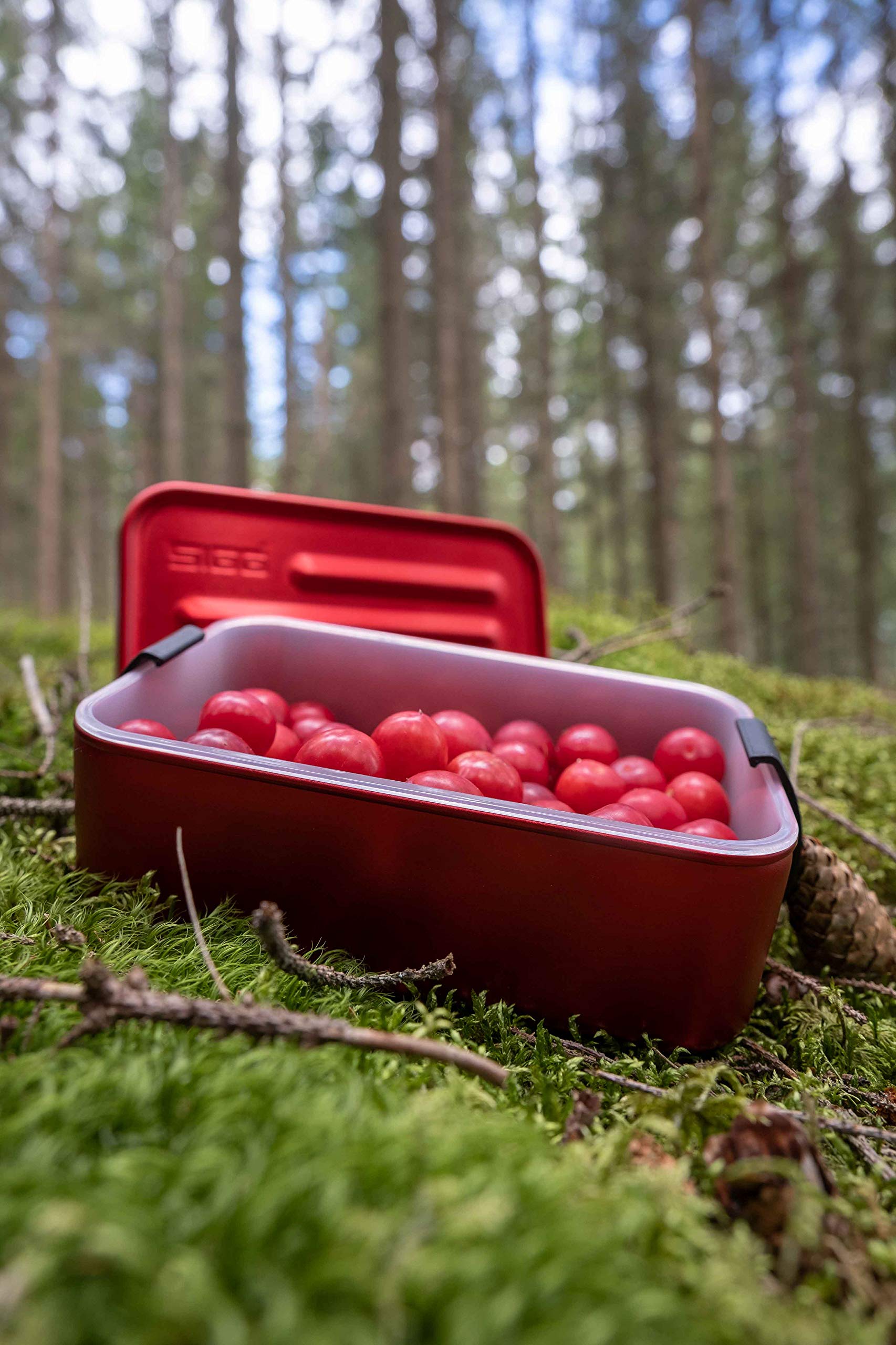 sigg-metal-box-plus-l-red-lunchbox-1-2-l-federleichte-aluminium-brotdose-mit-tre image 3